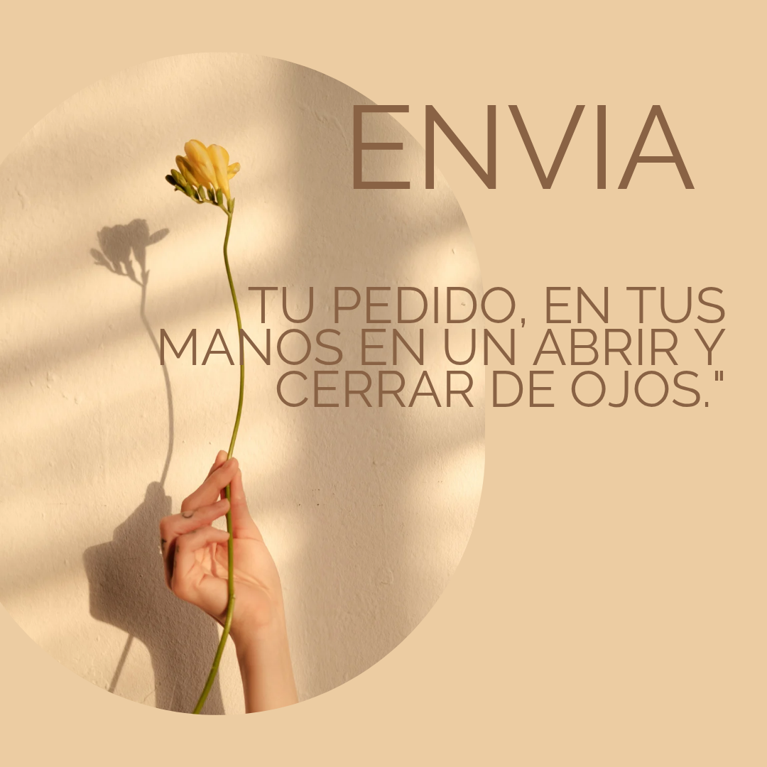 Todos los productos